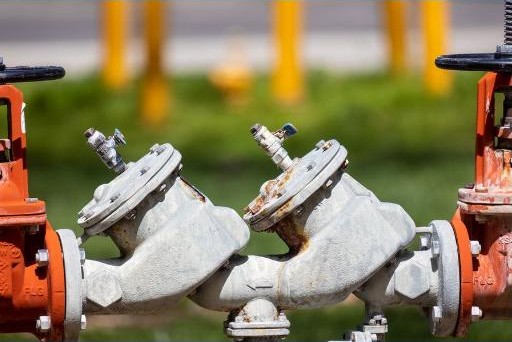 Backflow preventer assemblies