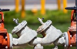 Backflow preventer assembly